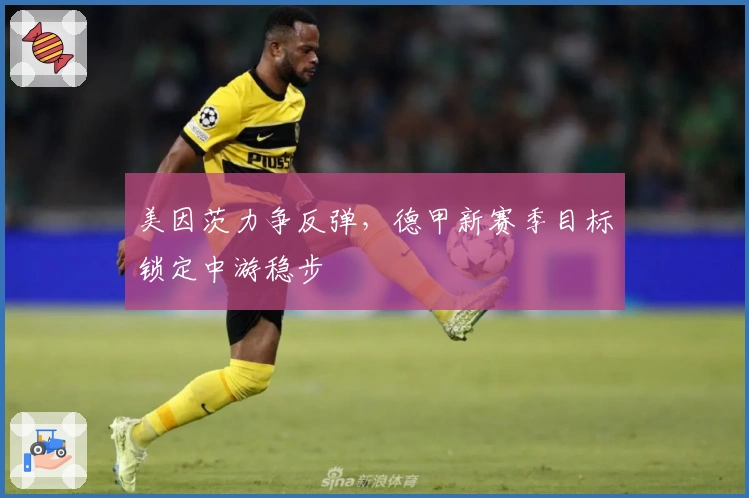 美因茨力争反弹，德甲新赛季目标锁定中游稳步